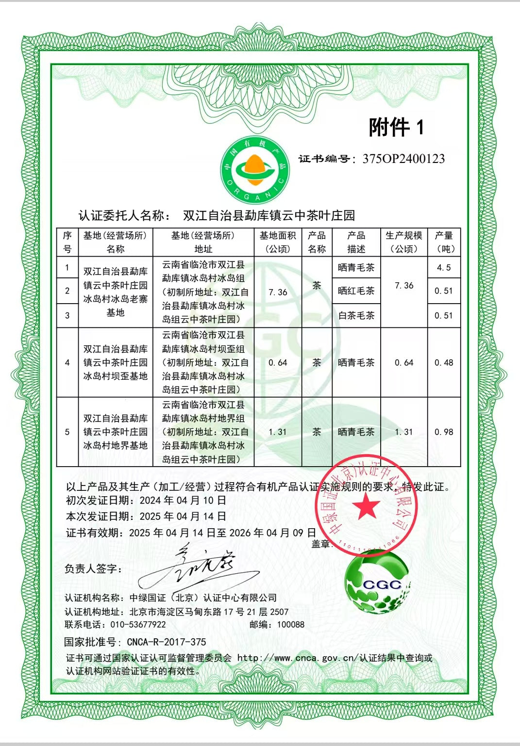 绝对正宗冰岛老寨纯料普洱茶生茶(无冰岛不普洱,回甘长达4-6小时)