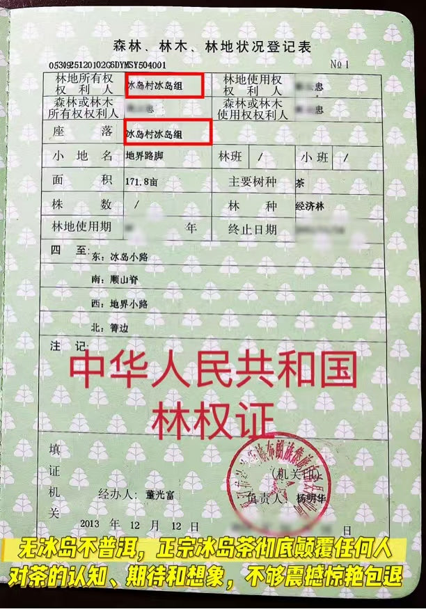 绝对正宗冰岛老寨纯料普洱茶生茶(无冰岛不普洱,回甘长达4-6小时)