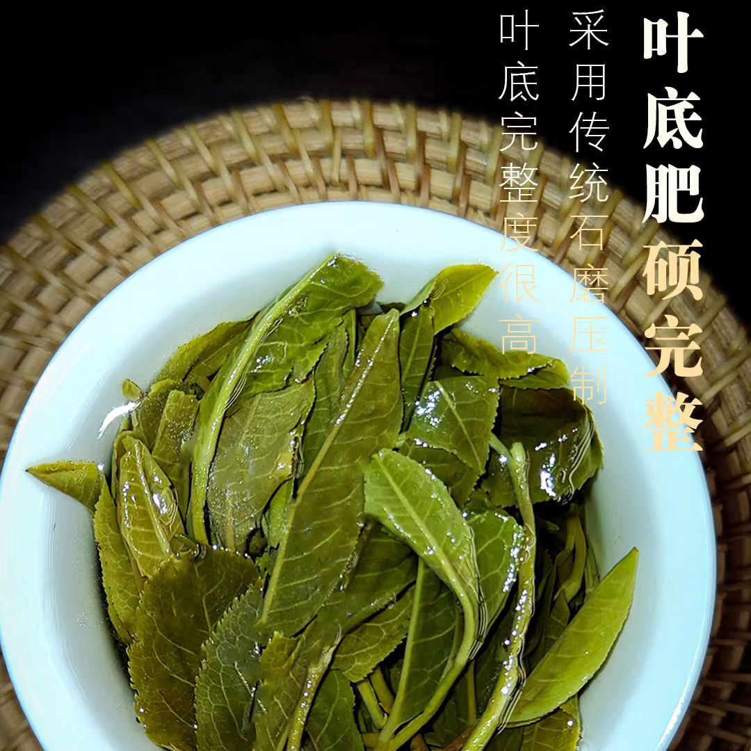绝对正宗冰岛老寨老树头春普洱茶生茶(无冰岛不普洱,回甘一整天)