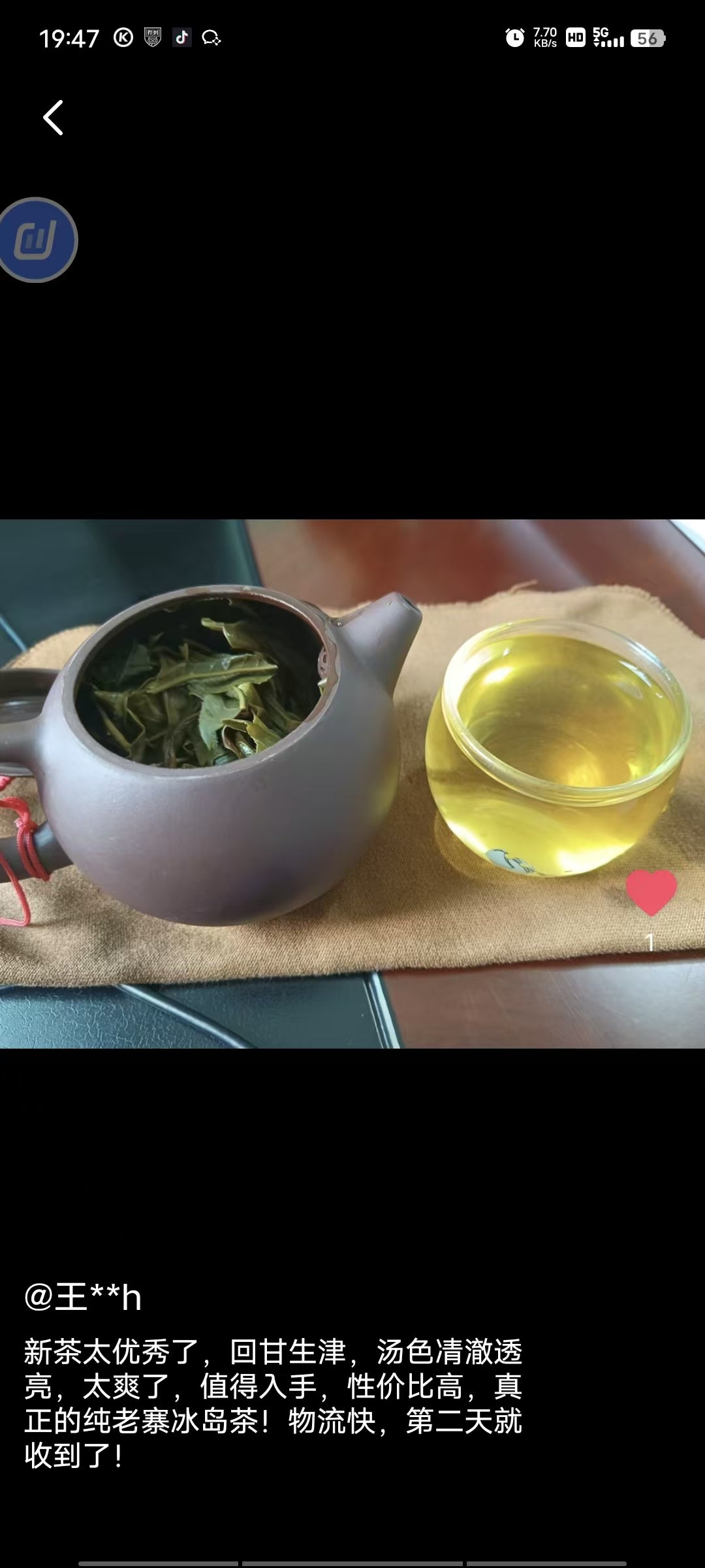 绝对正宗冰岛老寨老树头春普洱茶生茶（无冰岛不普洱，回甘一整天）