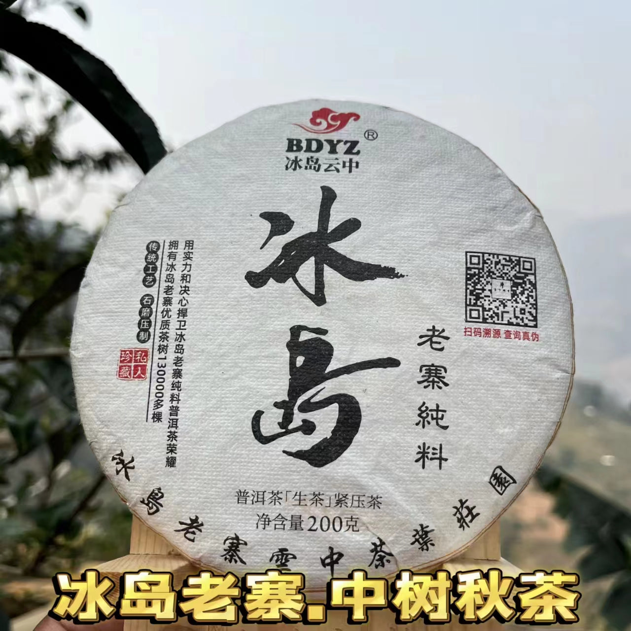 2024年绝对纯正冰岛茶入门品鉴级（特别香、甜、柔，回甘生津4-5小时以上）