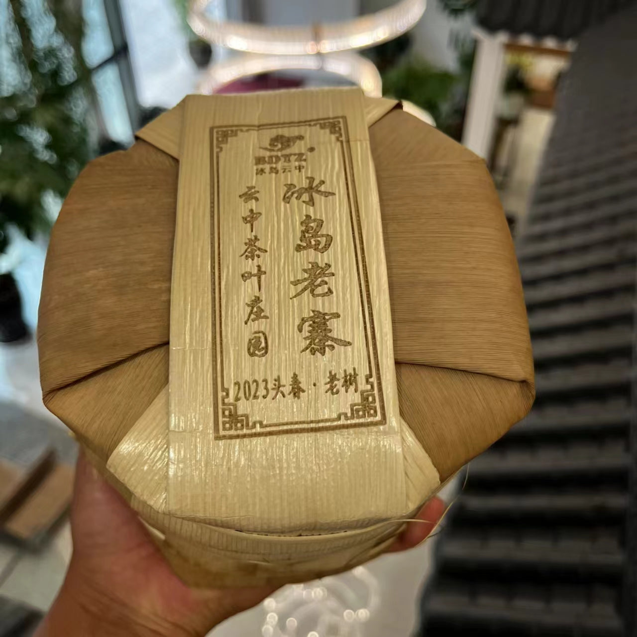 2024年绝对纯正冰岛茶入门品鉴级（特别香、甜、柔，回甘生津4-5小时以上）